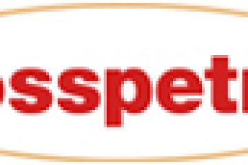 CÔNG TY TNHH CÔNG NGHIỆP TƯ THỊNH NHẬN BẰNG KHEN THƯƠNG HIỆU BOSSPETROL